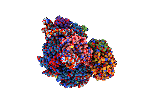 7C79 image