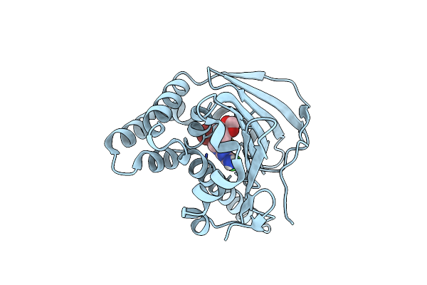 7C7B image