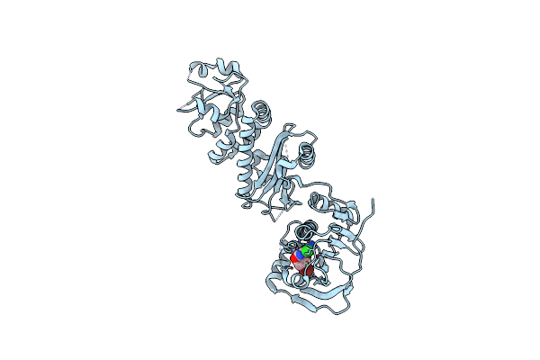 7C7C image
