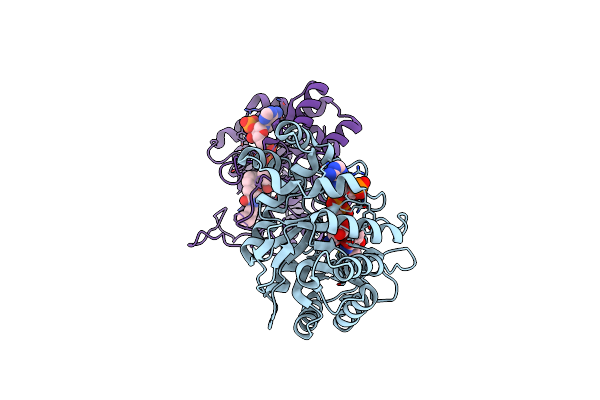 7C7H image