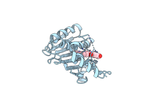 7C7N image