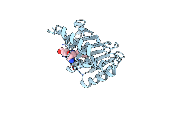 7C7O image