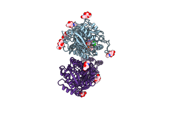 7C7S image