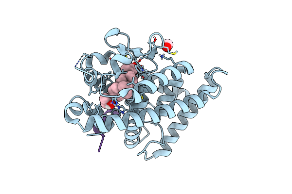 7C7V image
