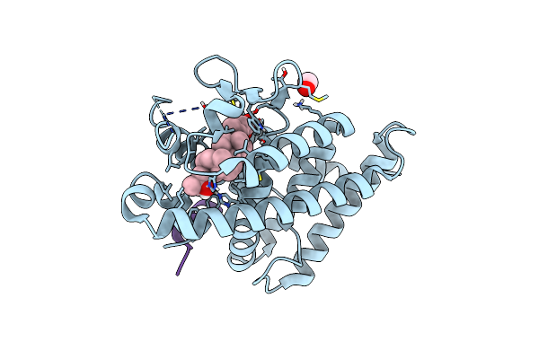 7C7W image