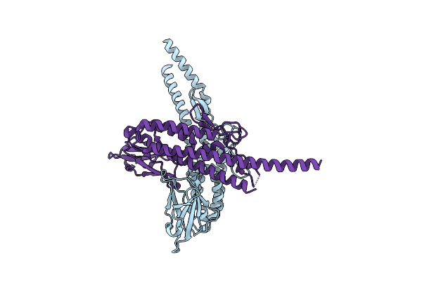 7C7Z image