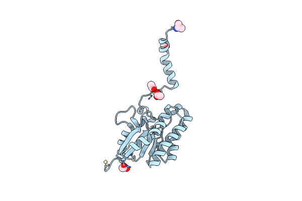 7C82 image