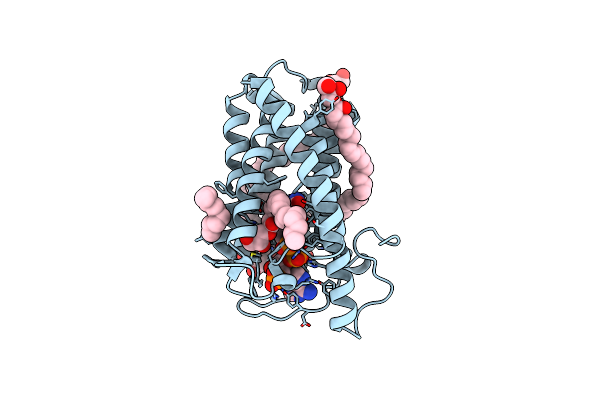 7C83 image