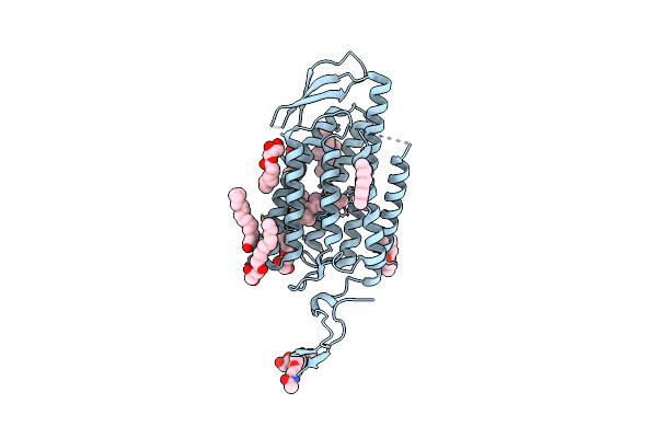 7C86 image