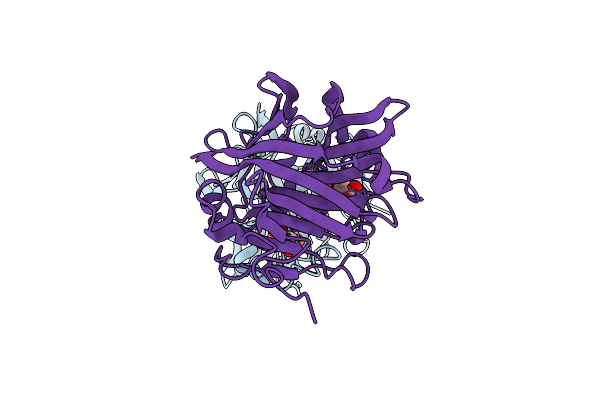 7C8G image