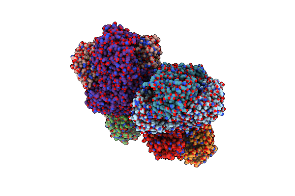 7C8I image