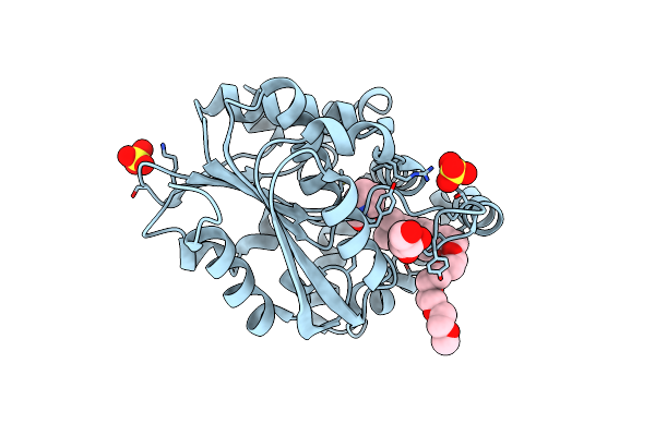 7C8L image