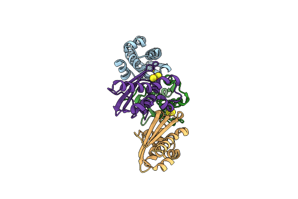 7C8O image