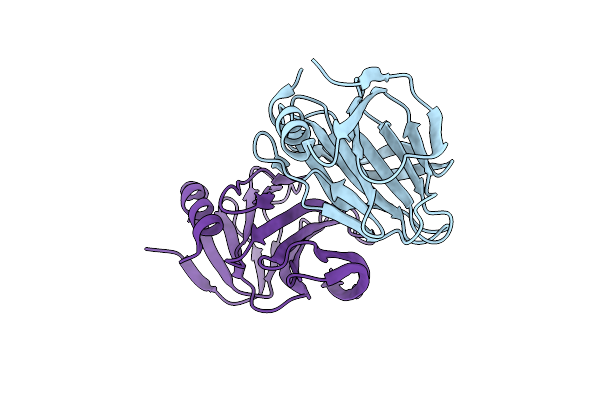 7C8P image