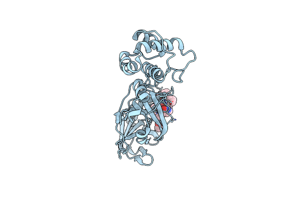 7C8R image