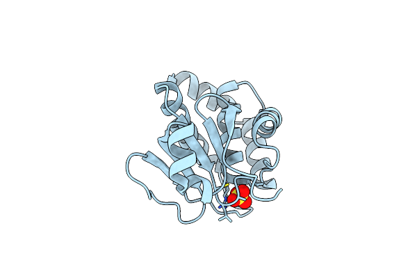 7C8S image