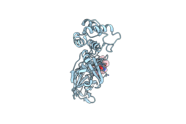 7C8T image