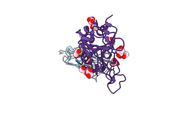 7C8V image