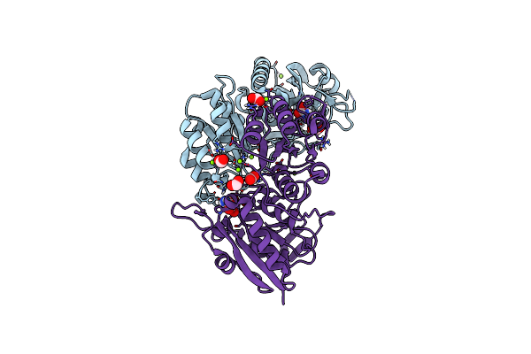 7C8X image