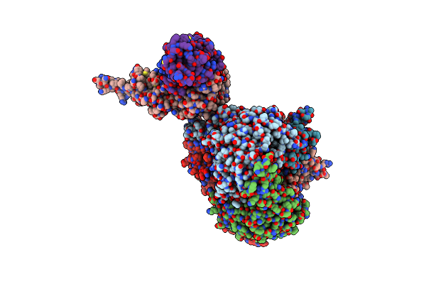 7C8Z image