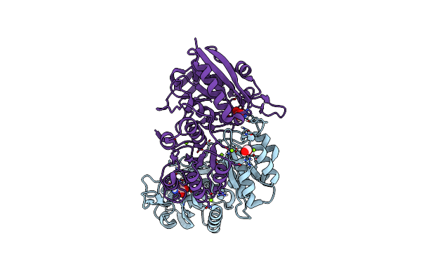 7C91 image