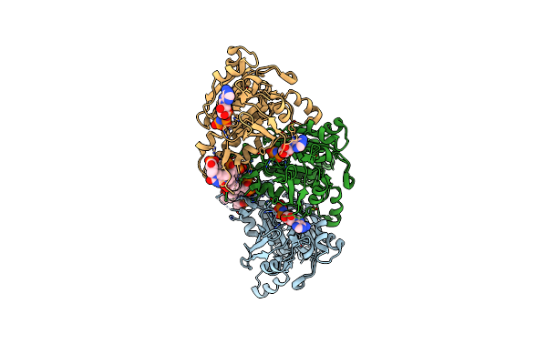 7C9C image