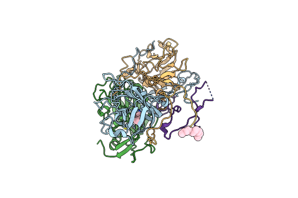 7C9X image