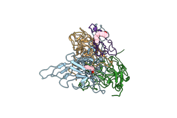 7C9Z image