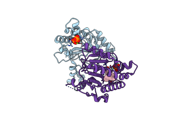 7CAS image