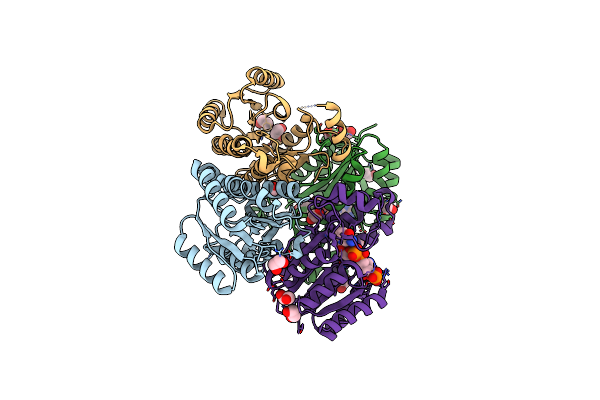 7CAX image