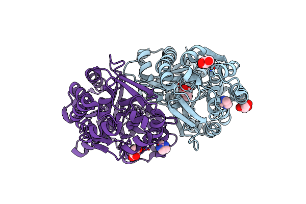 7CBF image