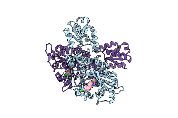7CBG image