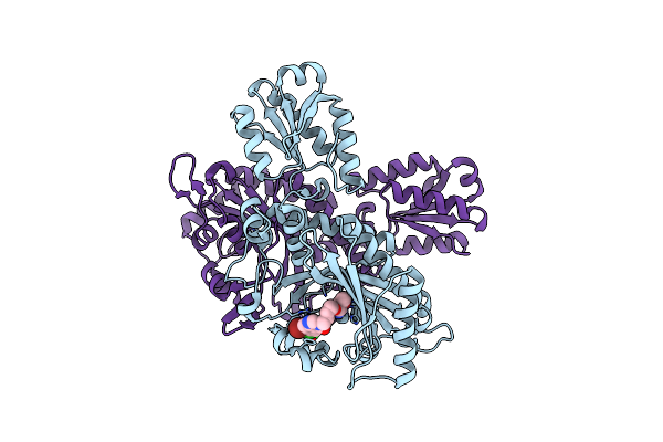 7CBH image