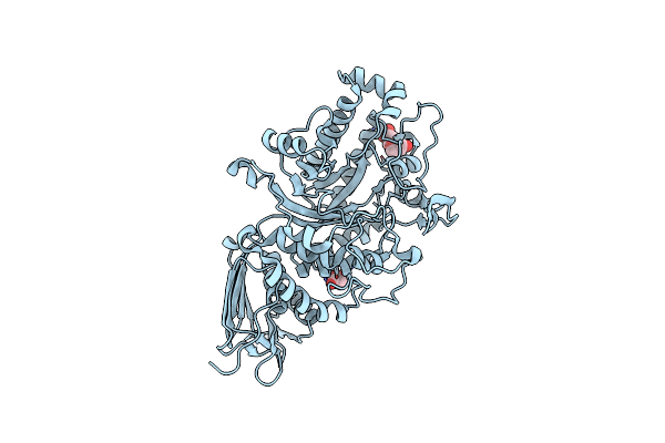 7CBN image