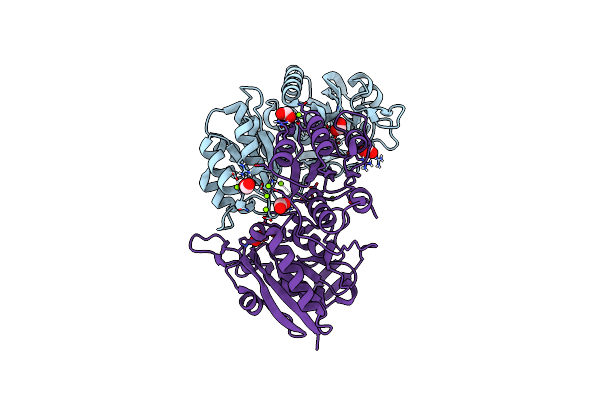 7CBW image