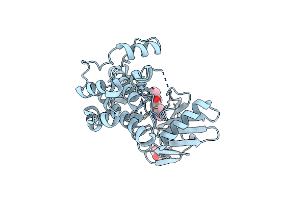 7CBX image