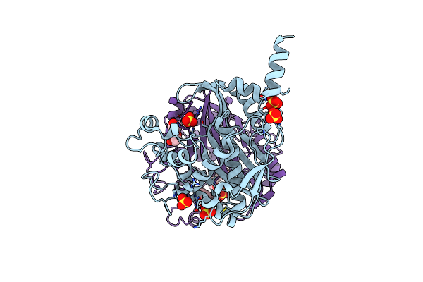 7CC8 image