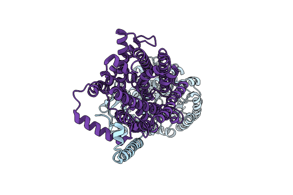 7CCS image