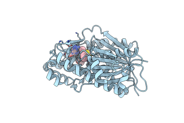 7CCT image