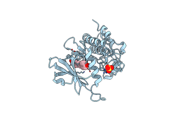 7CCU image