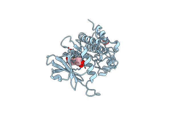 7CCV image