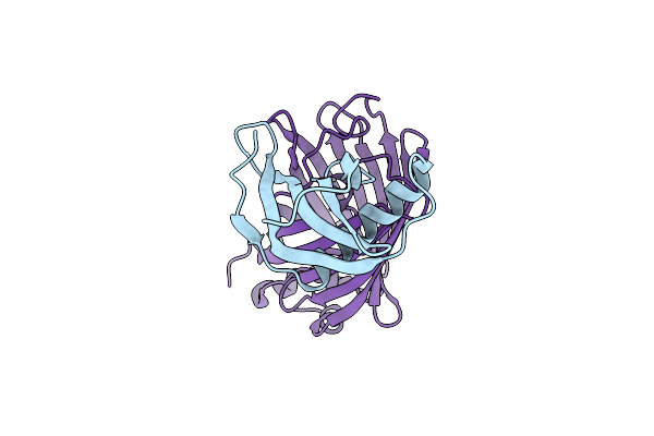 7CD8 image