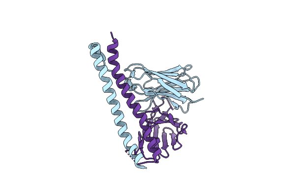 7CEA image
