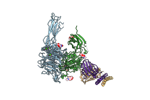 7CEB image