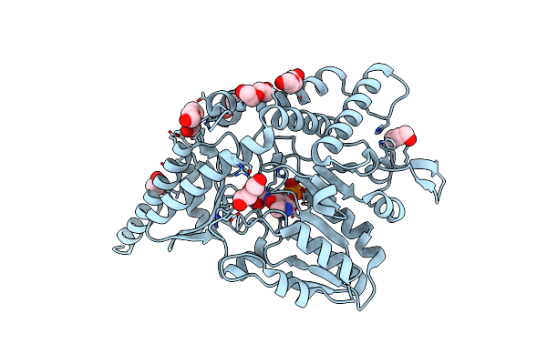 7CEP image