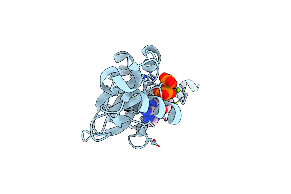 7CFI image