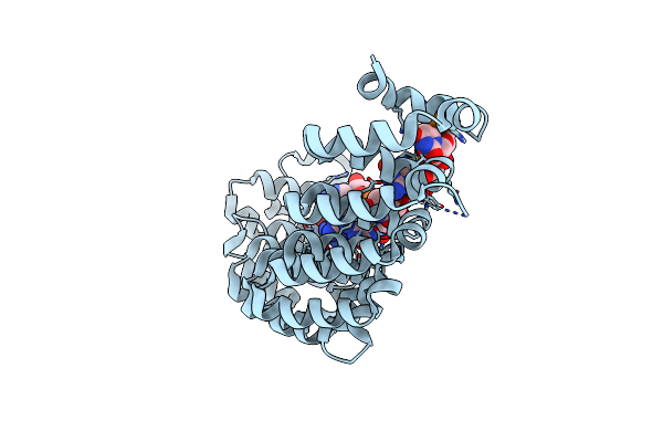 7CGF image