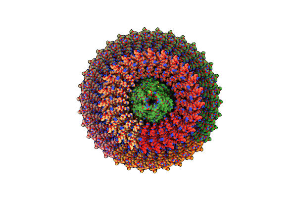 7CGO image