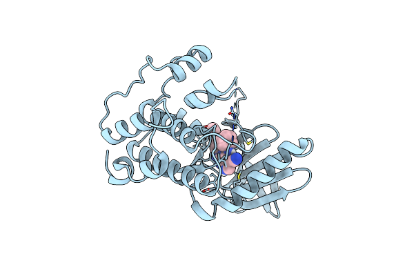 7CHN image