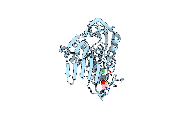 7CID image